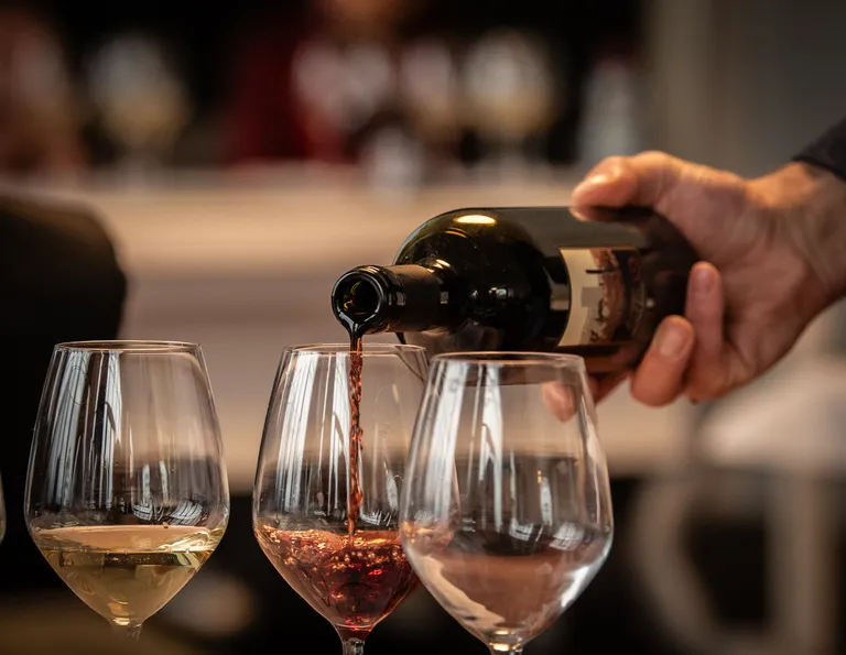 Calici di vino durante una degustazione a LuinoDiVino